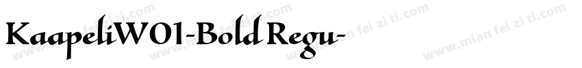 KaapeliW01-Bold Regu字体转换